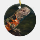 Recherche de dange ornements Animal