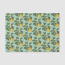 Recherche de fleurs de fruit Méditerranéen