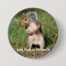 Recherche de écureuils badges Nature