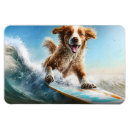 Recherche de surfer magnete Toute personne