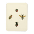 Recherche de mouche magnets Insecte
