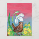 Recherche de bruns cartes postales Oiseaux