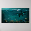 Recherche de tueur posters Vie marine