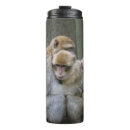 Recherche de ape tasses Bandes