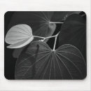 Recherche de photosynthèse tapis souris Botanique