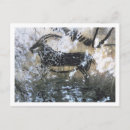 Recherche de chèvre noire cartes postales Rocher