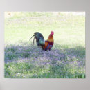 Recherche de fait varier le pas Oiseau