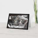 Zoek naar katten moeder kaarten Katje