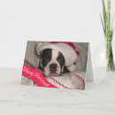 Recherche de de terrier noël cartes Animal familier