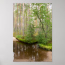 Recherche de fleurs mignonnes posters Nature