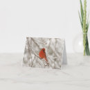 Recherche de oiseau rouge vœux cartes Birdie