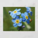 Recherche de nots cartes postales Bleu