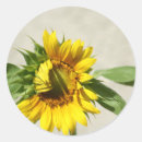 Recherche de appeler autocollants Tournesol