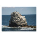 Recherche de whale art Nature
