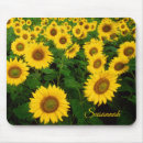 Recherche de sumie tapis souris Yellow