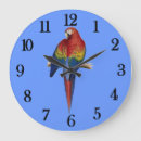 Recherche de perroquet rouge horloges Coloré