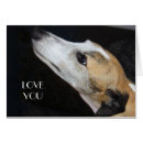 Recherche de compagnon photographie Dog