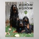 Recherche de set posters Animal