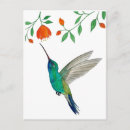 Recherche de de colibri cartes postales Peinture
