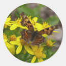 Recherche de papillon jaune autocollants Fleur sauvage