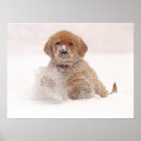 Zoek naar rekrutering posters Gouden rekruter