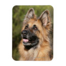 Recherche de deutscher magnets Alsacien