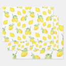 Zoek naar food cadeaupapier Fruit