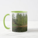 Recherche de sapin tasses À feuillage persistant