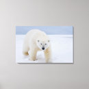Recherche de gravier art Faune