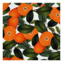 Zoek naar verboden posters Vruchten