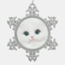 Recherche de persan ornements Amoureux des chats
