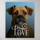 Recherche de de chien posters Pour animaux