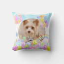 Recherche de pet coussins Pour animaux