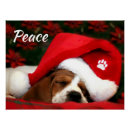 Recherche de pacifique posters Noël
