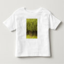 Recherche de cèdre tshirts Forêt