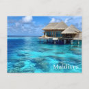 Recherche de impression de carte postale cartes postales Tropical