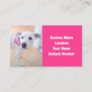 Recherche de visage de chien cartes visite Marcheur de chiens