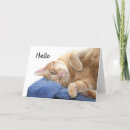 Recherche de chat de gingembre vœux cartes Amoureux des chats
