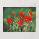 Recherche de pinceau indien cartes postales Castilleja