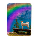 Recherche de perte de mémoire magnets Pont arc en ciel