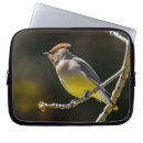 Recherche de original macbook housses Oiseau