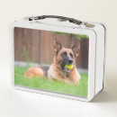 Zoek naar honden lunchboxen Buiten