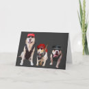 Recherche de motard anniversaire cartes Chien