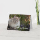 Recherche de lynx vœux cartes Poupée