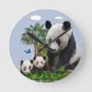 Zoek naar pandas klokken Grappig