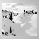 Recherche de fir trees posters Nature