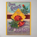 Zoek naar geur posters Rozen
