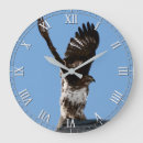 Recherche de raptor horloges Bird of prey