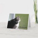 Zoek naar klantgerichte kaarten Dieren