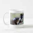 Recherche de rassemblement du chien tasses Colleys de frontière